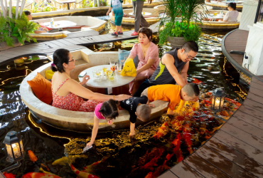 Top 4 quán cà phê cá Koi quận 9 mà bạn nhất định phải ghé