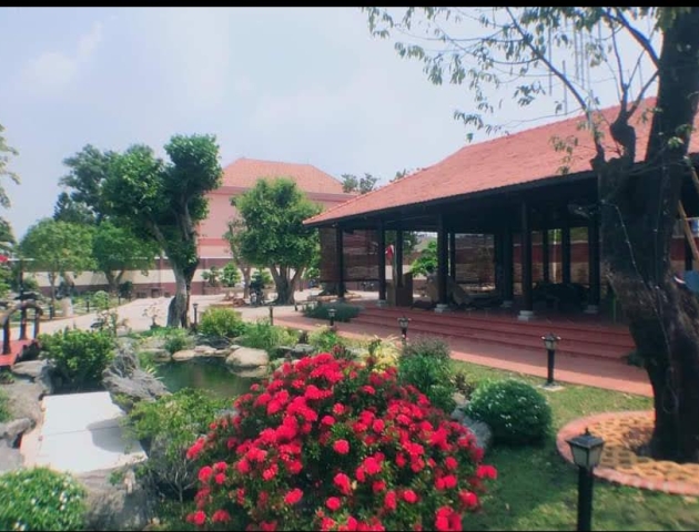 Thiết Kế Thi Công Quán Cà Phê Sân Vườn: Xu Hướng Không Gian Xanh 2025