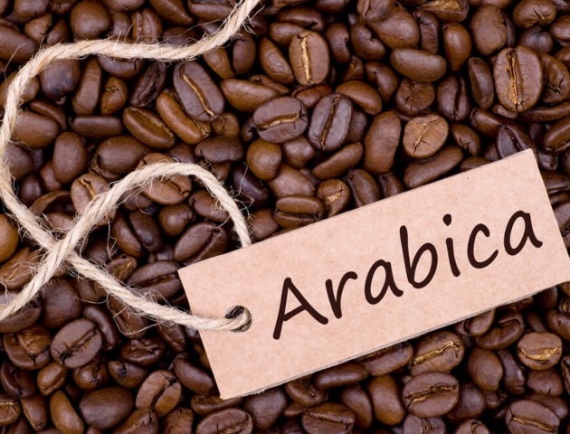 Cà Phê Arabica là gì ?