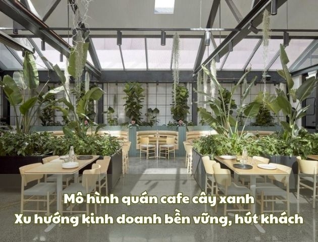 Mô hình quán cafe cây xanh: Xu hướng kinh doanh bền vững, hút khách