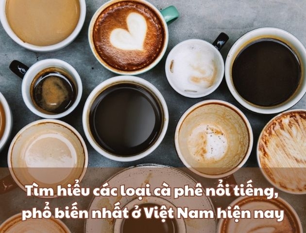 Các loại cà phê nổi tiếng, phổ biến nhất ở Việt Nam hiện nay
