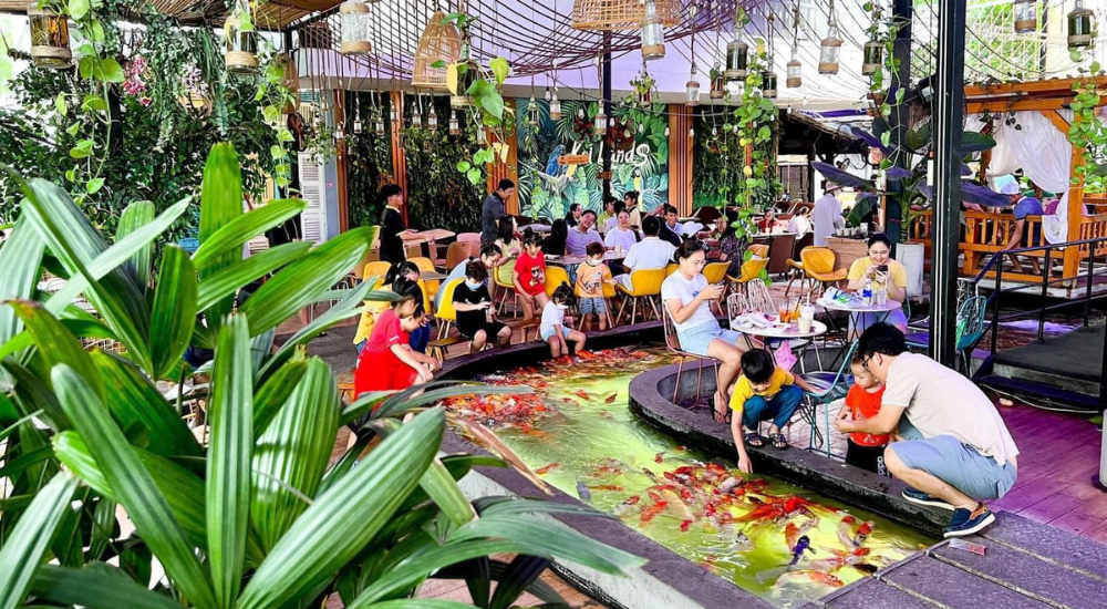 Mô hình cà phê cá koi tại Koi Lands Coffee phù hợp với đối tượng gia đình