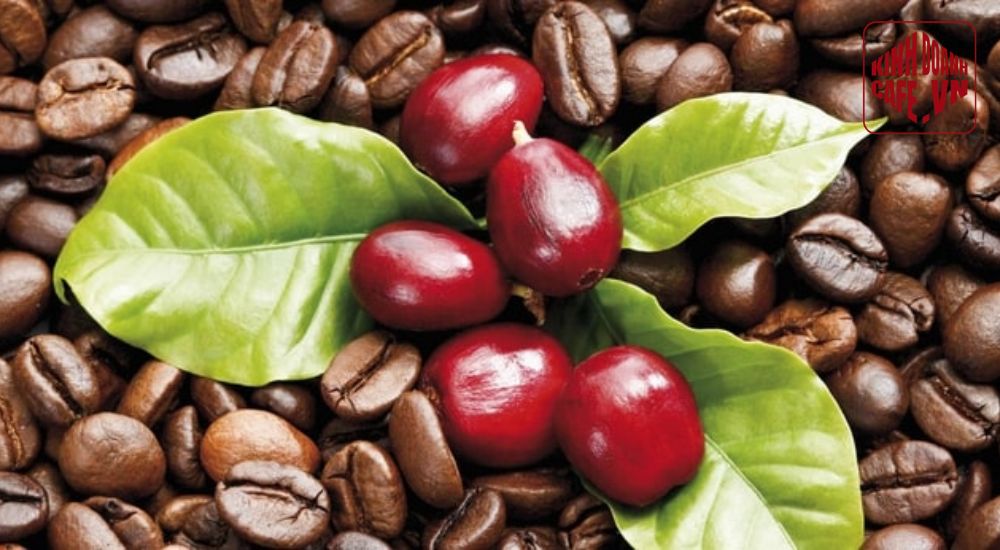 Cà phê Cherry là lựa chọn dễ uống trong các loại cafe ngon hiện nay