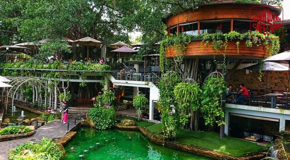 Quán cafe cây xanh kết hợp hồ thủy sinh giúp tạo cảm giác mát mẻ và khác biệt