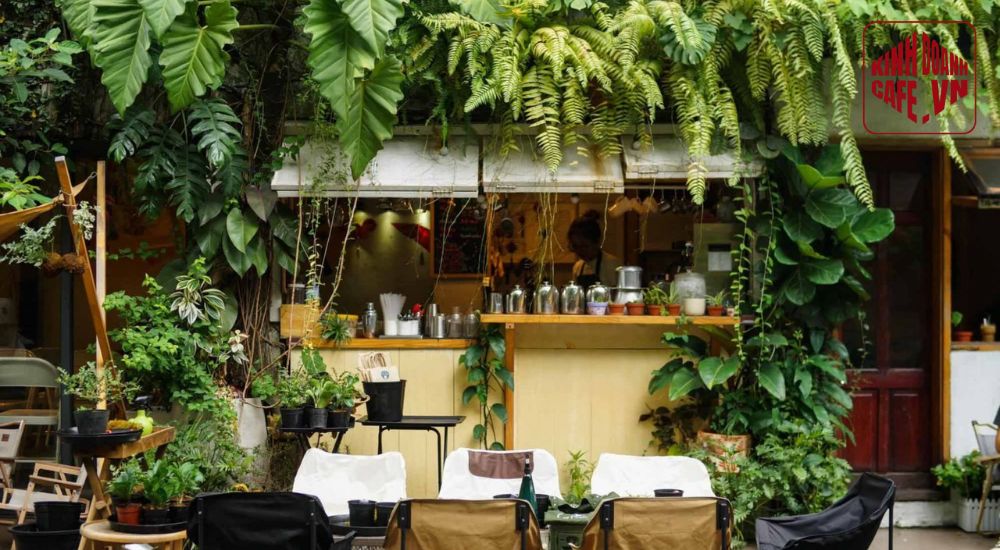 Vận hành và chăm sóc cây xanh đúng cách sẽ giúp quán cafe tiết kiệm chi phí lâu dài