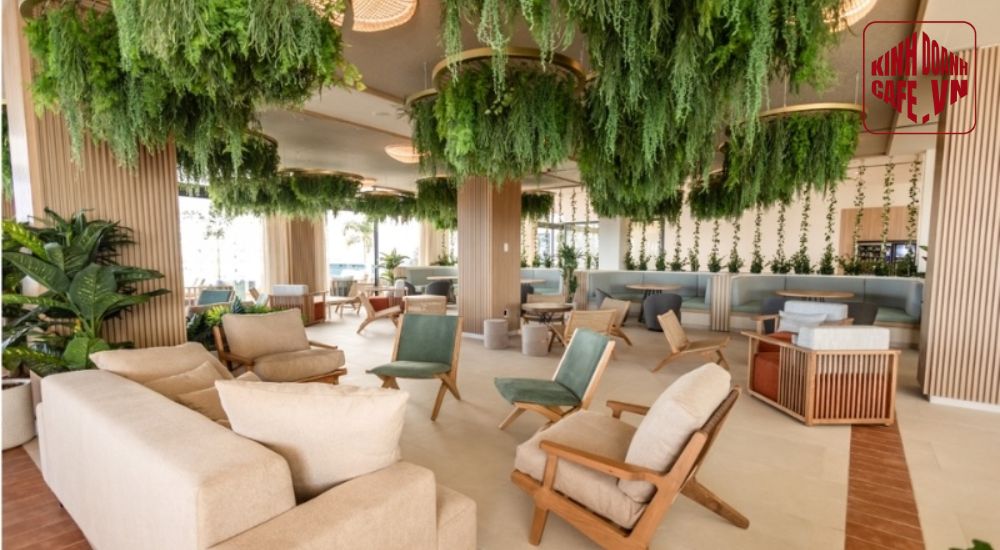 Decor trần quán cafe bằng cây xanh giúp tạo điểm nhấn sinh động và thư giãn