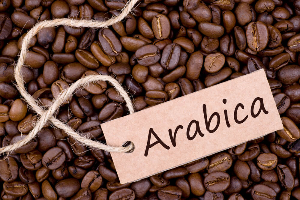 Cà Phê Arabica là gì ?