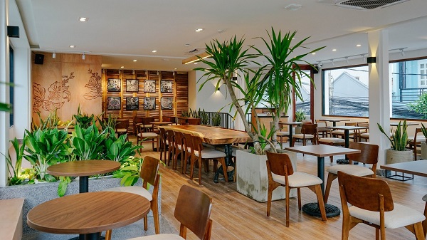 Mảng xanh trong trang trí và thiết kế quán cafe
